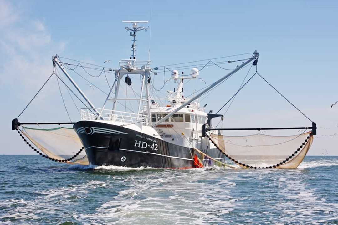 Rhigo en de bedrijfsvaart